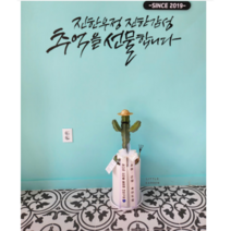 용신목 만세선인장, 서랍받침대