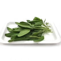 야채왕 세이지 1팩 허브 생잎, 세이지10g