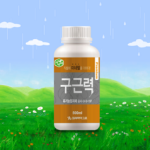 코리아아그로 자연비 구근력 500ml 뿌리발근제 생장제 마늘 양파비대제, 1개