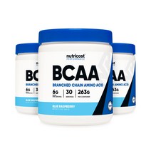뉴트리코스트 BCAA 헬스보충제 블루라즈베리, 3개, 262g