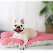 아늑하고 포근한 수면 강아지 방석 반려견유모차쿠션 노견유모차쿠션 강쥐방석