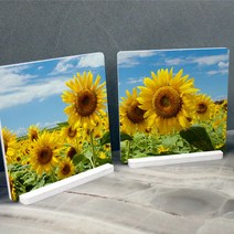 tm453-스탠드액자2P_풍수의하늘해바라기