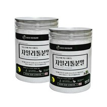 핀란드 자일리톨 가루 100% 설탕 대체 천연당 자일리톨크리스탈 분말 파우더 효능, 2팩, 350g