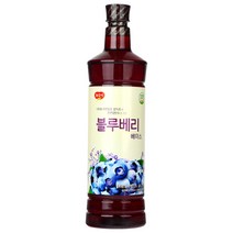 광야 늘감사 블루베리 베이스 (970ml x 15개)