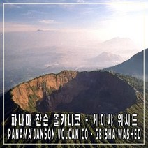 (커피생두) 232 파나마 잔슨 볼카니코 - 게이샤 워시드 500g