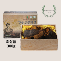 자연산 상황버섯 최상품 약용버섯 원물 부모님 할머니 할아버지 건강 선물 300g