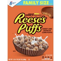 제네럴밀스 리세스 퍼프, 586g, 2개