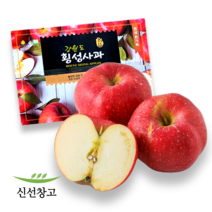 신선창고 2023 강원도 고랭지 사과 홍로 아리수 부사 햇사과 빨간사과 선물용 가정용 실속형, 5kg (20과내외)