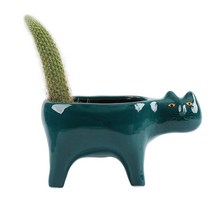 고양이 꽃집을위한 만화 배수 세라믹 식물 화분 정원 선인장 식물 화장 꽃병, 녹색