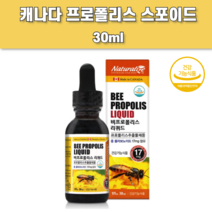 비 프로폴리스 액 원액 액상 스포이드
