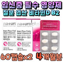 임신부 태아 건강식품 철분 엽산 비타민d b12 철분제 신혼 부부 남성 여성 남자 여자 임신준비 남편 아내 영양제 임신 초기 엽산400 중기 말기 800 모유수유 수유부 보충제