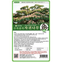자귀나무씨앗 20g, 없음