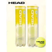 테니스공 오리지널 헤드 테니스 공 경쟁 훈련 팀 고탄성 저항 투어 3B 4B 1 튜브, [10] TEAM N2