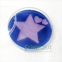 아밀레이스의메세지(4인세트)