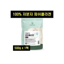 참좋은데이 저분자 피시콜라겐 가루 어류 생선 피쉬 콜라겐 1봉