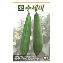월동 춘채 20g 춘채씨앗 춘채씨 순무 무청 야채씨 야채씨앗 채소씨 채소씨앗, 14_다농_수세미(10립)