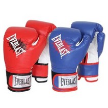 에버라스트 챔프 트레이닝 글러브 복싱 권투 용품, 블루XL