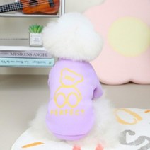 강아지 퍼펙트 베어 기모 티셔츠 퍼플 M 말티푸 포메라니안 강아지옷티셔츠 강아지옷