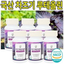 프리미엄 고농축 국내산 차즈기 차조기 차지기 차주기 차자기 붉은깻잎 보라색깻잎 루테올린 루테인 자소엽 자엽소 차 잎 캡슐 환 정 분말 가루 파우더 추출물 효능 효과 추천 6통