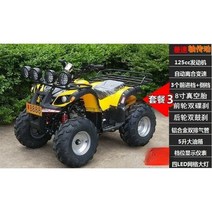 ATV 사륜오토바이 오프로드 농촌 산악바이크, 125cc 리틀 불 패키지2