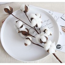 라온[MSGK] 목화조화 목화가지 목화꽃, 4p