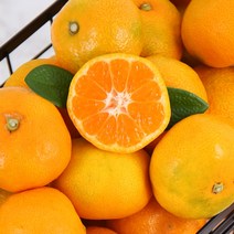 새콤달콤 제주농협 하우스 감귤 5kg (2S-M), 1개