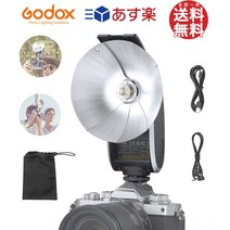 [국내 정규 대리점] Godox Lux Senior 레트로 카메라 빈티지 카메라 플래시 Sony Canon Fujifilm Nikon Olympus 대응 일본어 설명서