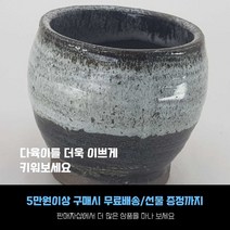 다육 다육화분 원형 투톤화분 4개세트, 하얀색