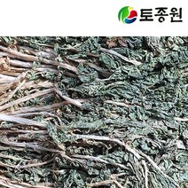 국내산 유기농건무청 말린시래기500g 유기농샵