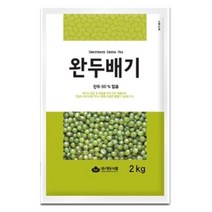 1170. 완두배기 - 대두 500g, 1개