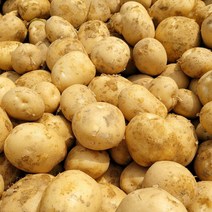 감자 수미 햇 못난이 왕특 특 20kg 10kg 5kg, 못난이 10kg 특(100~140g), 1개