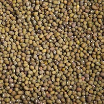 한땀영농조합법인 2021 무안 황토밭 녹두 1kg, 1개