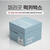 [퍼리굿] 럭키박스 랜덤박스 (강아지 옷 패밀리룩세트 수건), 옵션선택