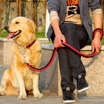 (세트)목줄+리드줄 진돗개 개줄 산책 반려견 큰 작은, L, 리드줄목줄세트 브라운