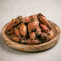 치자 200g 한약재 한방 약초, 1개