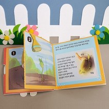 어린이 미술 과학 유치원 교재 교구 북아트 강낭콩의 한살이 DIY세트 DIY키트