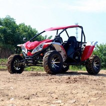 사륜버기카 사륜바이크 오프로드 네발 오토바이 최고의 가격 새로운 자동차 체인 드라이브, ly300cc