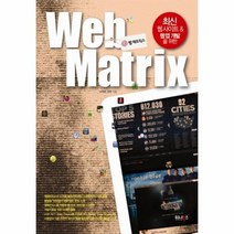 웹 메트릭스 WEB MATRIX 최신 웹사이트 웹앱 개발을, 상품명