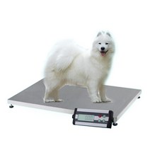 강아지 체중계 고양이 체중계 반려 동물 몸무게 측정 전자 애완 동물 스테인레스 스틸 무게 강철 저울 150kg50g 애완견 무게 동물 저울 110220v 고양이 도마뱀 대형 개, 하얀, 하얀색