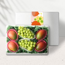SSG 바이어 엄선 샤인 애플망고 혼합세트 3kg (샤인머스켓 2송이 페루애플망고 4개)