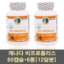 프로폴리스 비프로폴리스 분말 플라보노이드 향균 고함량 캐나다 꿀 구강 활력 활성산소 캡슐 영양제 가족 부모님 어린이, 6통, 60캡슐