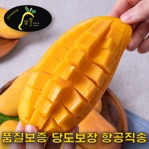 애플망고무지개망고태국망고 추천 순위 모음 60 (2023년)