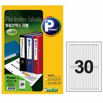 폼텍라벨지 프린텍 애니라벨 V3290 30칸 100매, 색상:[색상]본상품