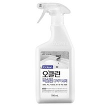오클린 욕실용 다목적 세제, 750ml x 1개