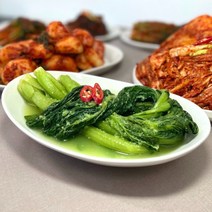 전라도 여수 돌산 갓물김치, 2kg, 1개