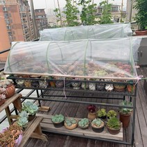 다육이겨울나기 미니온실 비닐하우스 베란다 옥상 식물 보온 조립식 화분 덮개 월동 바람막이, 길이 180 폭 65 높이 60 cm