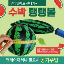 탱탱볼 [수박 ] 칼라 무지 삼색 돼지 물놀이 공 용품 비치볼 에어공, 수박탱탱볼