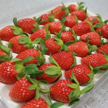 지리산 산청 설향 딸기 하우스 신지식농업인 500g 1kg, 설향딸기750g