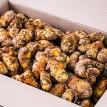 금산 산지직송 생울금(강황) 500g 울금강황, 1박스, 18K6_국)강황500g