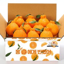 올탑농원 제주직송 당도선별 한라봉 2.5kg중대과(랜덤과), 단품